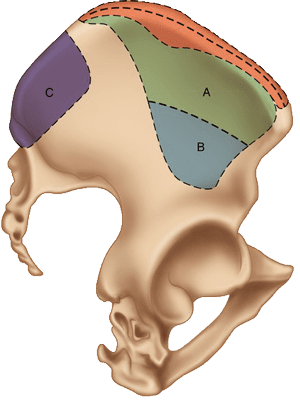 bone-grafting-sources-in-singapore sources of bone grafting in singapore