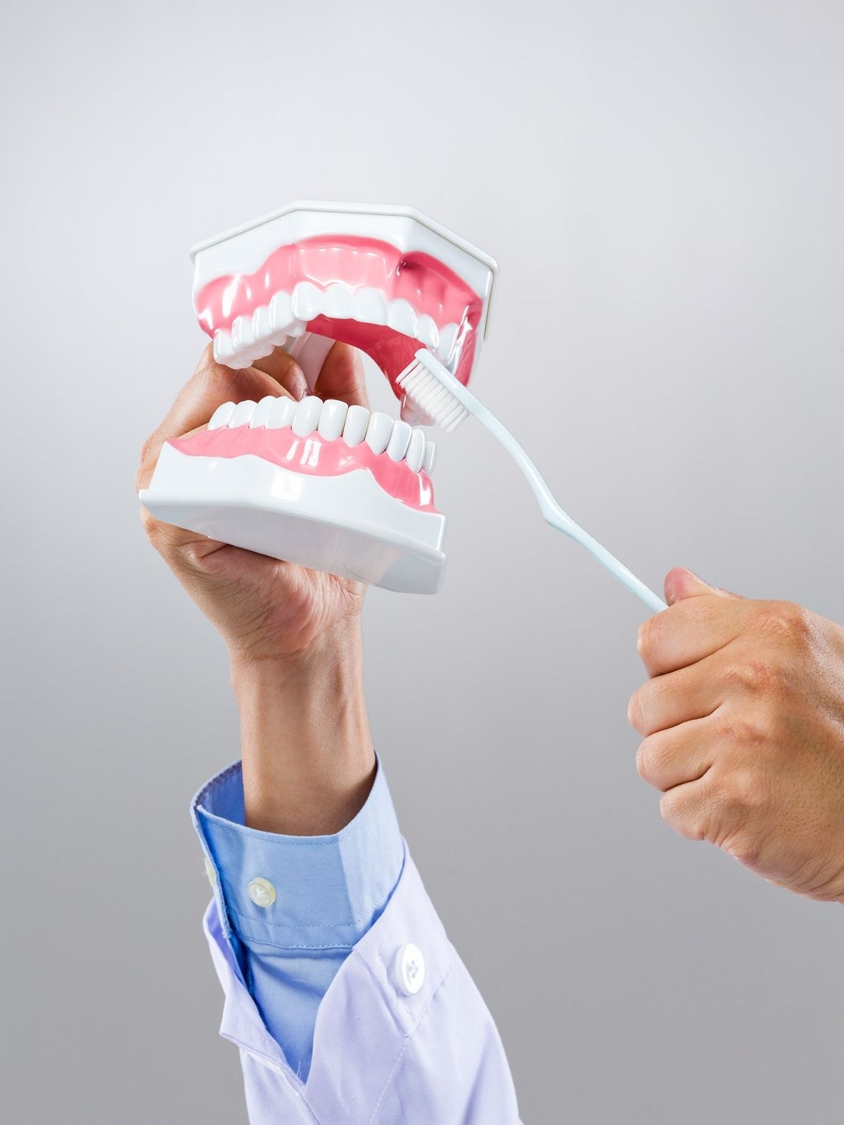 dentist holding model of denture and toothbrush dentist holding model of denture and toothbrush